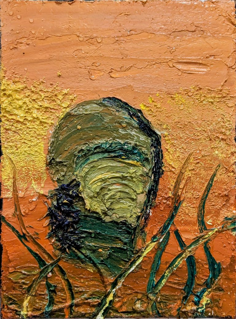 Lire la suite à propos de l’article Grande nacre de Sofiane Benyahia